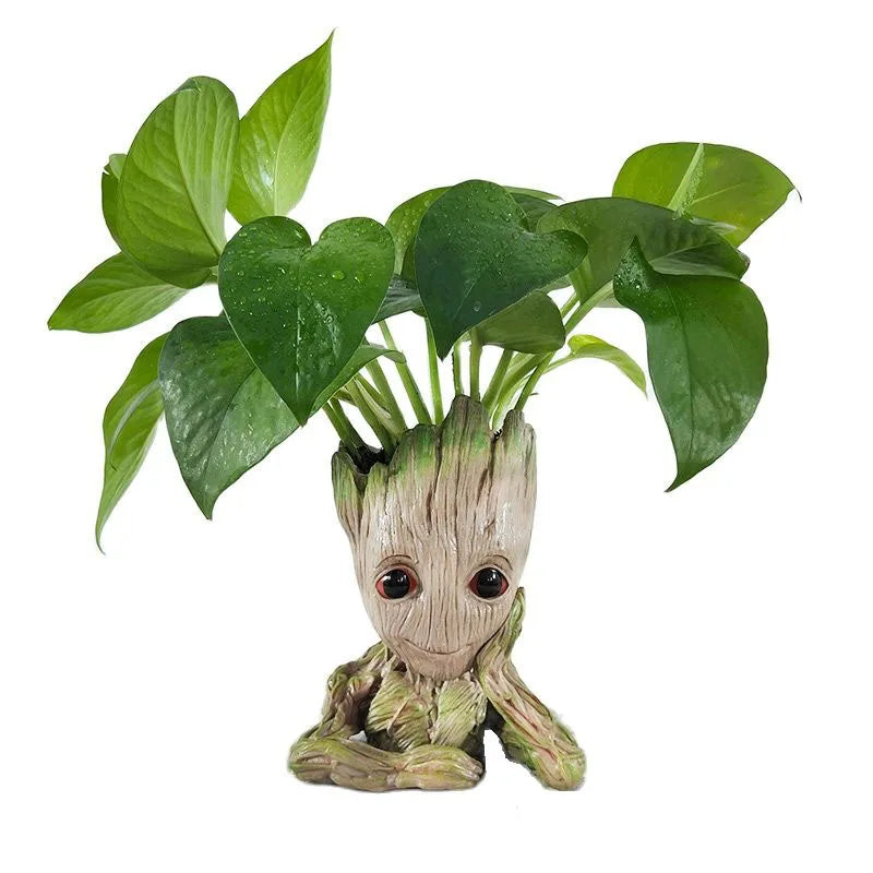 Rangement groot